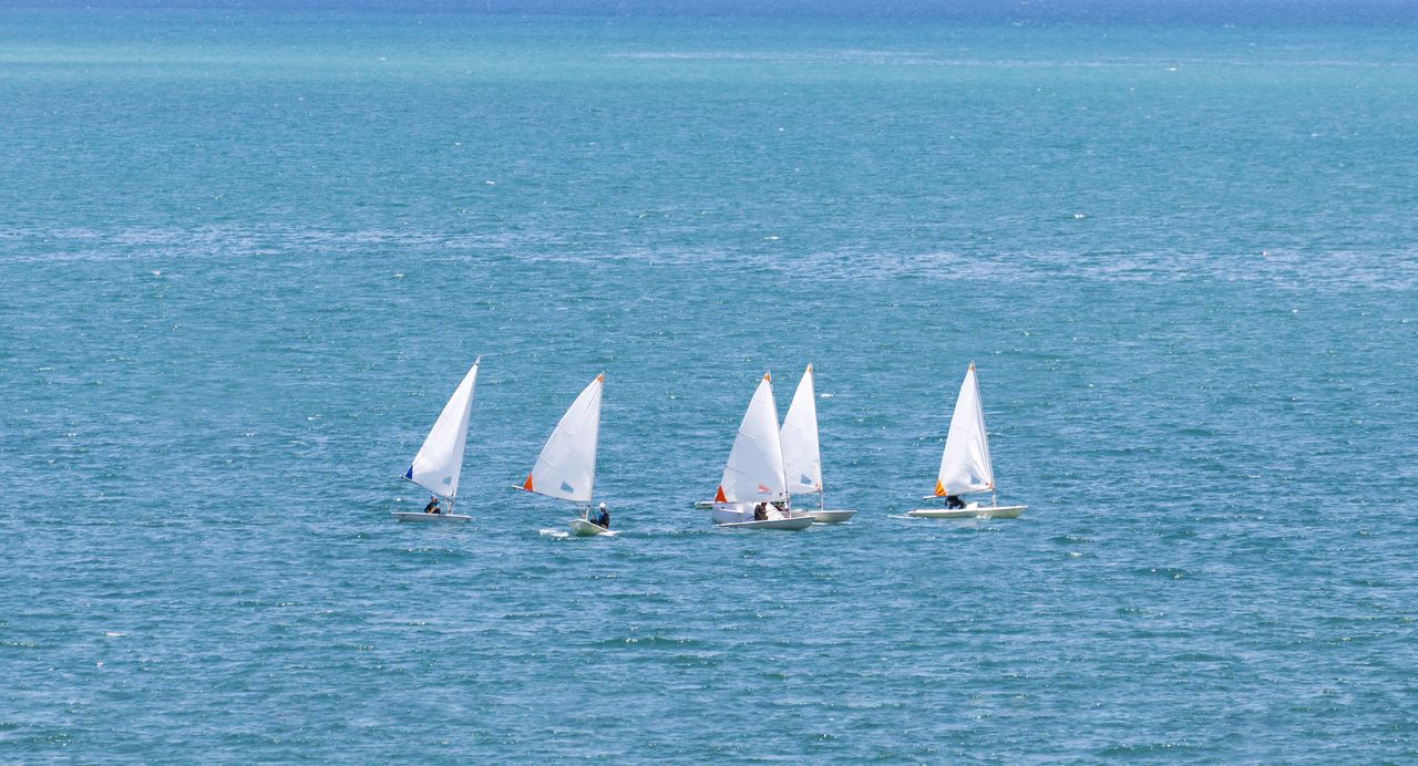Flottille d'Optimist à l'école de voile